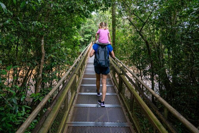 3-Day Tour to Iguazu Falls by Air From Buenos Aires - Transportation Arrangements