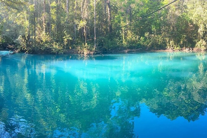 3-Day Tour to Las Verapaces: Visit Semuc Champey + Hun Nal Ye + Coban + Orchids - Experiencing Orchids