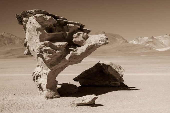 3-Day Tour to Salt Lakes and Lagoons - Diverse Wildlife and Landscapes