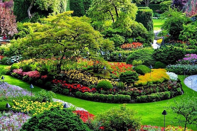 3-Day Tour to Vancouver Island W/ YVR Airport Pickup (Eng&Mandarin) - Highlights of the Tour