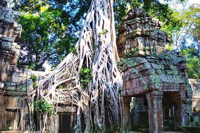 3-Day Tour(Unforgettable Angkor Temple Complex, Banteay Srei& Floating Village) - Customer Reviews and Feedback
