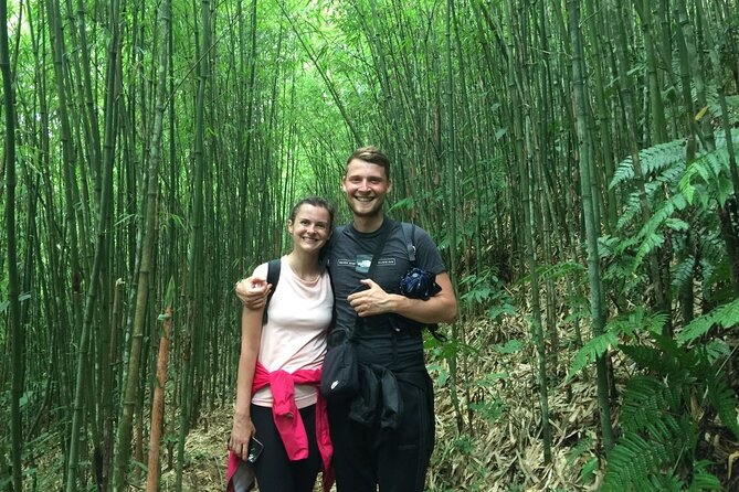 3-Day Trek in Amazing Muong Hoa Valley & Ethnic Homestay - Stunning Muong Hoa Valley