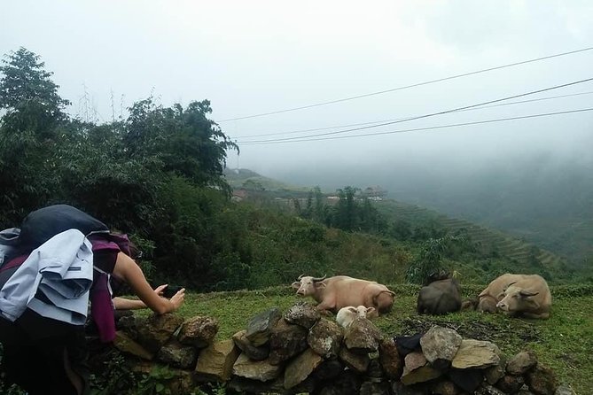 3-Day Trek in Amazing Muong Hoa Valley & Ethnic Homestay - Unforgettable Trek Experience