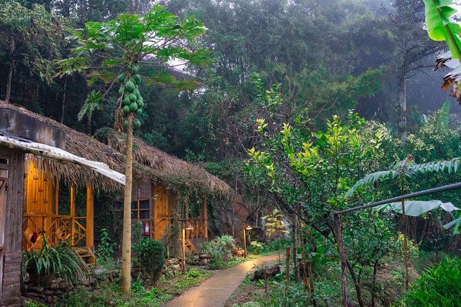 3-Day Trekking Adventure of Sapa From Hanoi - Stay Ta Van Village - Inclusions of the Package