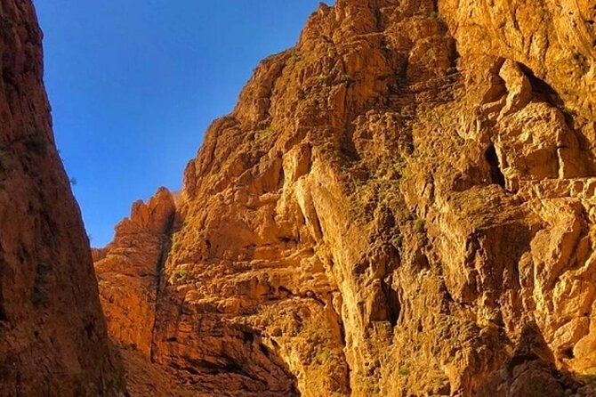 3 Day Trip From Marrakech to Merzouga - Traveler Reviews and Ratings