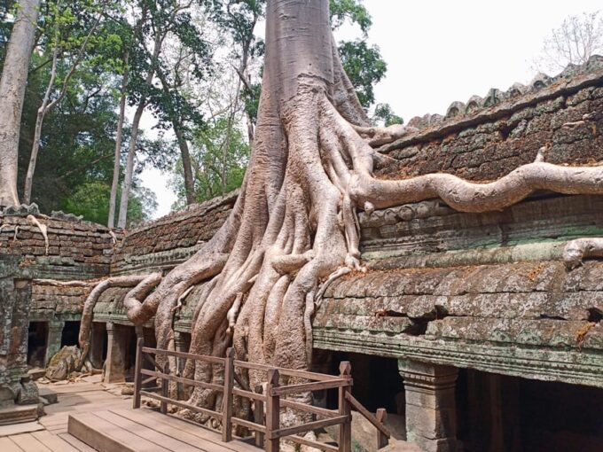 3-Day Trip to Angkor Temple With Kompung Pluck Village. - Kompong Pluk Floating Village Excursion