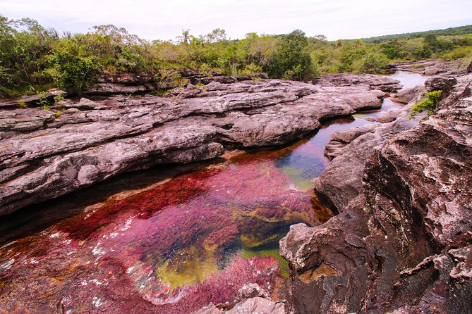 3-Day Trip to Caño Cristales From Bogota - Arrival and Exploration