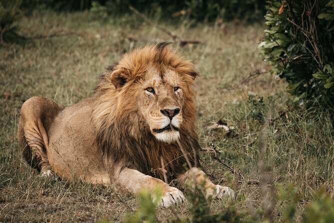 3-Day Tsavo East and Tsavo West Safari - Safari Duration and Itinerary