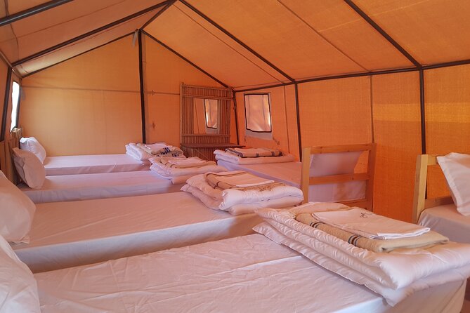 3-Day Tunisia Sahara Desert Camel Trek From Douz - Inclusions