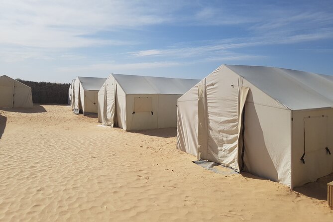 3-Day Tunisia Sahara Desert Camel Trek From Douz - Reviews and Experiences