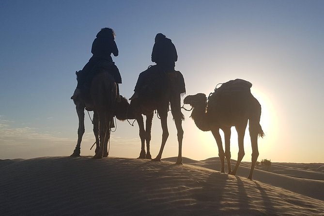 3-Day Tunisia Sahara Desert Camel Trek From Douz - Discover Hidden Areas