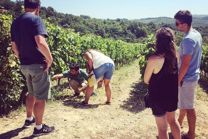 3-Day Tuscany Wine Tour Experience From Florence - Booking Details and Cancellation Policy