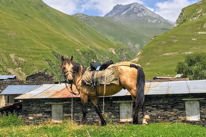 3 Day Tusheti Tour Explore Unspoiled Wilderness - Important Considerations