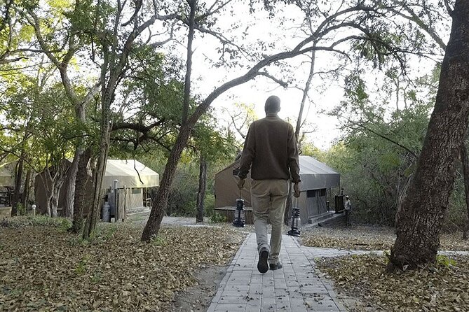 3 Day Ultra Budget Kruger National Park and Safari Tour - Booking Information