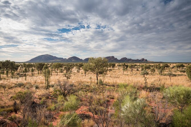 3-Day Uluru & Kings Canyon Express From Alice Springs - Aboriginal Cultural Experience