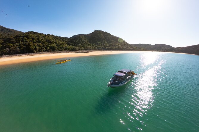 3 Day Unguided Kayaking Starting in the Abel Tasman National Park New Zealand - Itinerary and Experience