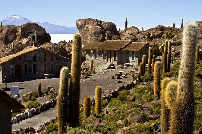 3-Day Uyuni Salt Flat Tour With Sunset and Red Lagoons - Booking and Cancellation Policy
