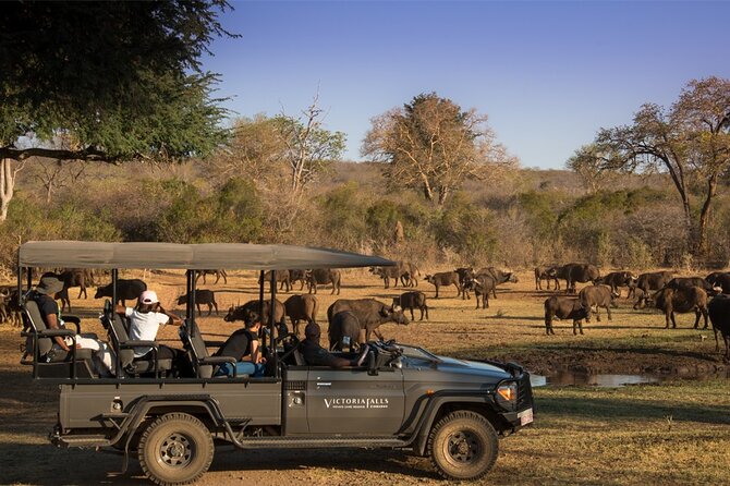 3-Day Victoria Falls Safari With Dinner Cruise - Pricing Details