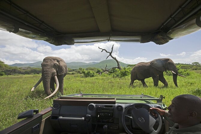 3-Day Victoria Falls Safari With Dinner Cruise - Traveler Reviews