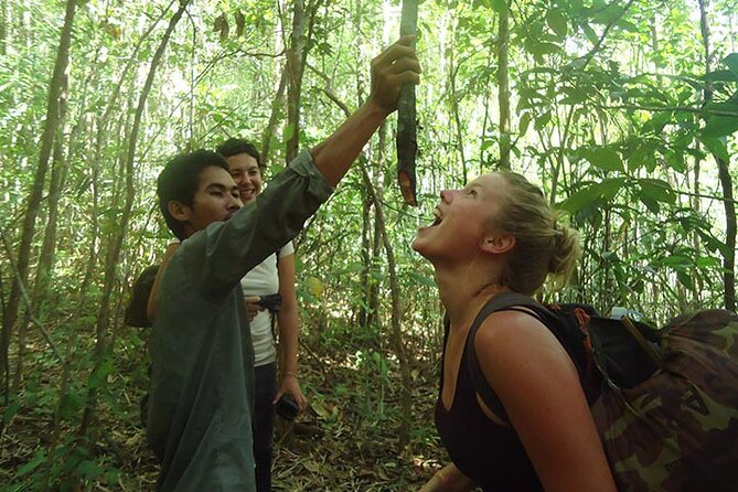 3-Day Virachey National Park Encounter Trek - Key Points