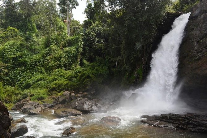 3-Day Wayanad Tour From Bangalore - Traveler Feedback