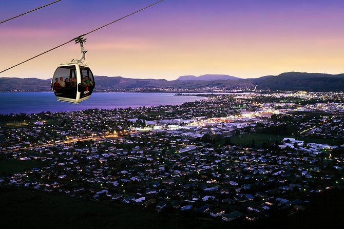 3-Day Wellington to Auckland Tour - Accessibility Considerations