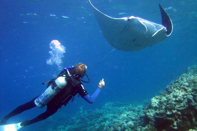 3 Day Whitsundays Sailing and Diving Adventure: Kiana - Included Activities and Amenities