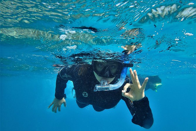 3 Day Whitsundays Sailing and Diving Adventure: Kiana - Booking Information and Policies
