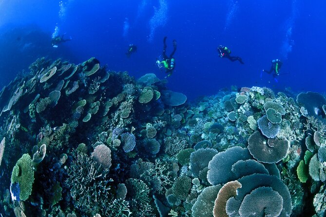 3 Day Whitsundays Sailing and Diving Adventure: Kiana - Exploring Whitehaven Beach