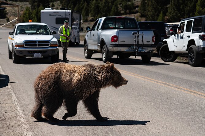 3 Day Wildlife Photography Tour in Yellowstone National Park - Frequently Asked Questions