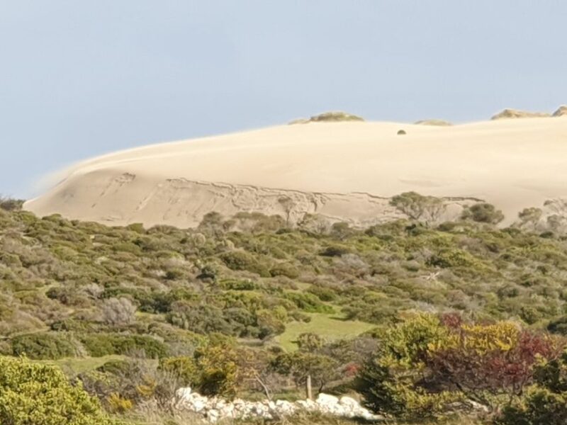 3-Day Yorkes Peninsula Coastal Wilderness Tour From Adelaide - Itinerary