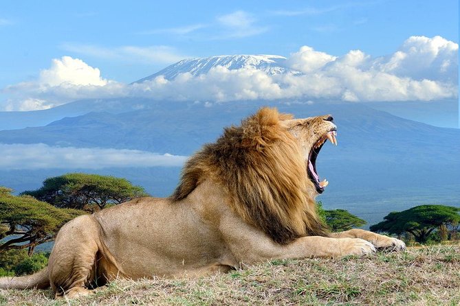 3 Days, 2 Night Amboseli Safari - Inclusions