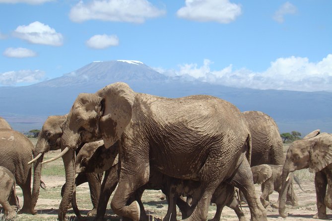 3 Days, 2 Night Amboseli Safari - Additional Information