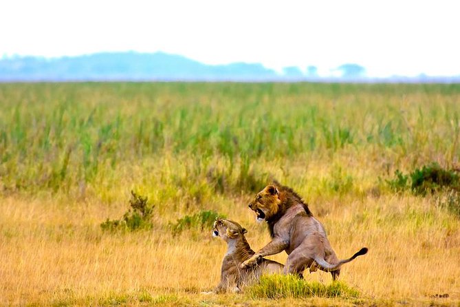 3 Days, 2 Night Amboseli Safari - Destination Highlights