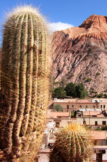 3 Days 2 Night - Trains in the Sky: Jujuy and Salta - Inclusions