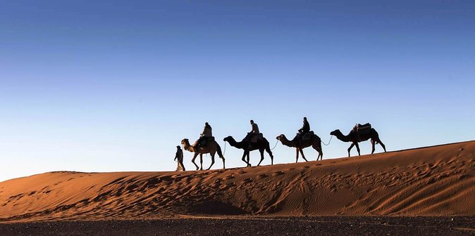 3 Days 2 Nights Adventure From Marrakech to Fez via Desert - Health and Safety Considerations