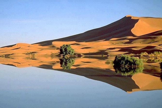 3 Days 2 Nights Adventure From Marrakech to Fez via Desert - Activities and Experiences