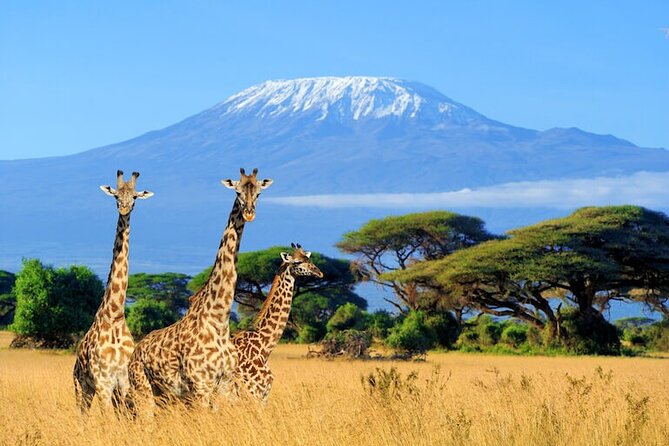 3 Days 2 Nights Amboseli Safari - Transportation Options