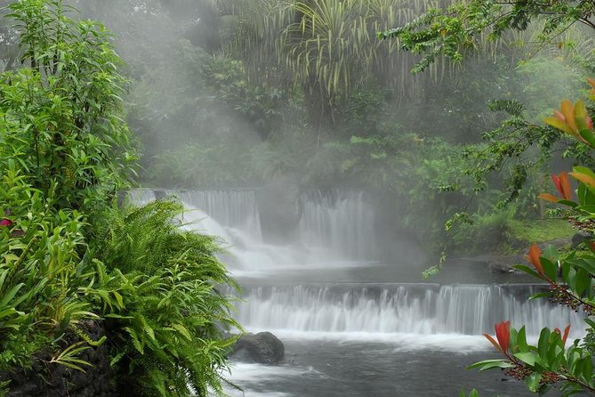 3 Days - 2 Nights: Arenal Volcano & Monteverde Adventure From San Jose - Day 2: Monteverde Transition