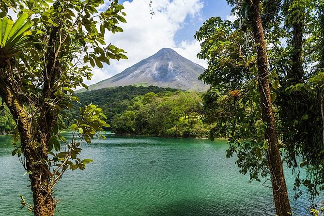 3 Days - 2 Nights: Arenal Volcano & Monteverde Adventure From San Jose - Day 2: Monteverde Night Forest Walk