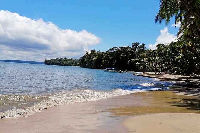 3 Days 2 Nights | Bahia Malaga: Humpback Whale Watching - Discovering the Stunning Beaches