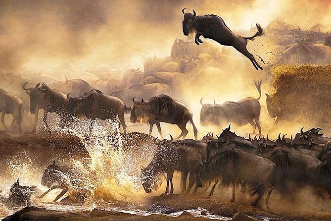 3 Days 2 Nights Budget Group Safari to Maasai Mara National Reserve - Transport and Pickup