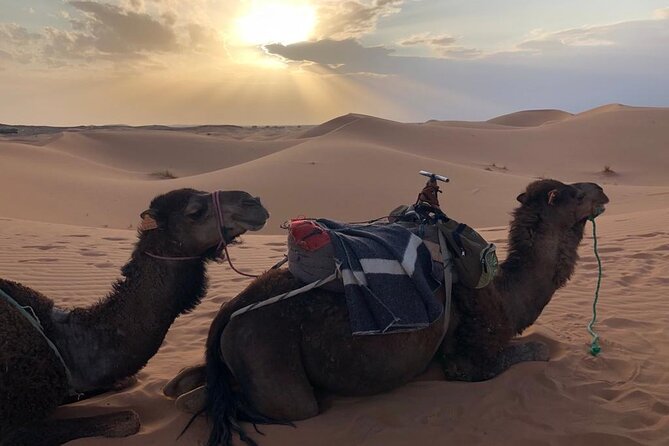 3-Days 2 Nights From Fes to Marrakech Private Luxury Desert Trip - Badge of Excellence