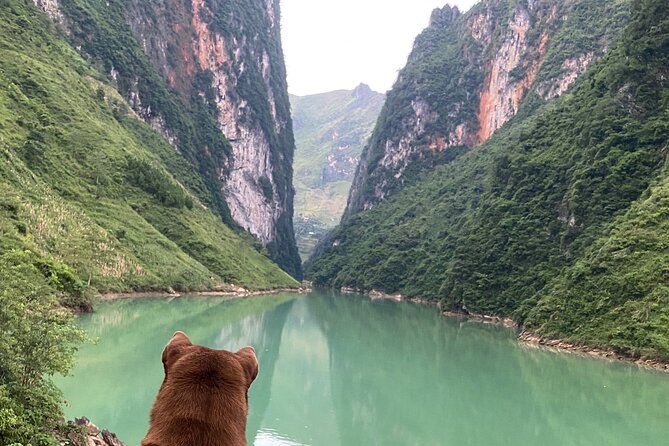 3 Days 2 Nights Ha Giang Loop Tour Small Group Local Tour Guide - Accommodations and Meals