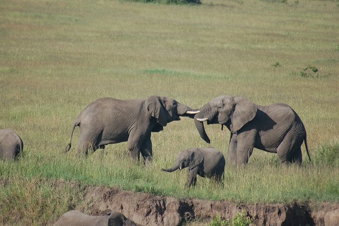 3 Days 2 Nights in Maasai Mara via The Great Rift Valley - Visiting a Maasai Village