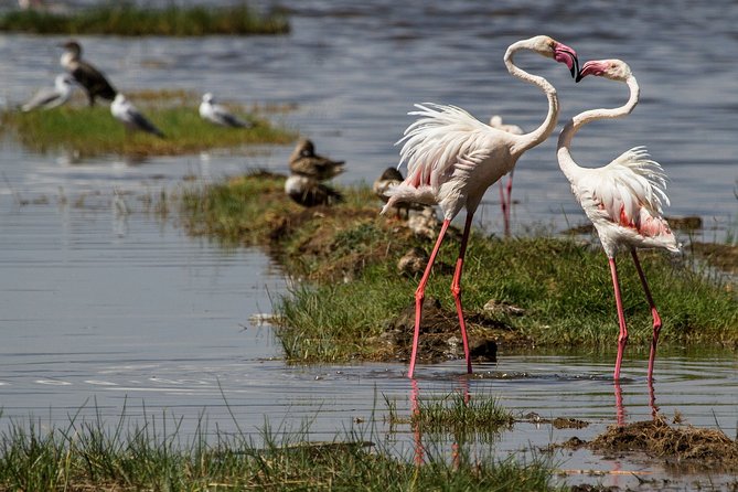 3 Days 2 Nights in Maasai Mara via The Great Rift Valley - Tour Logistics and Details