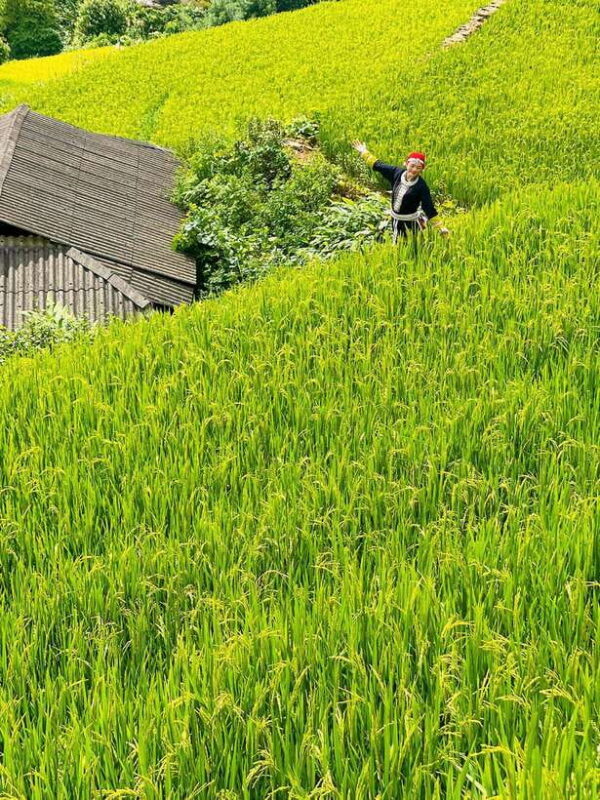 3 Days 2 Nights in Sapa | 1 Night Homestay & 1 Night Hotel - Checking Availability and Booking