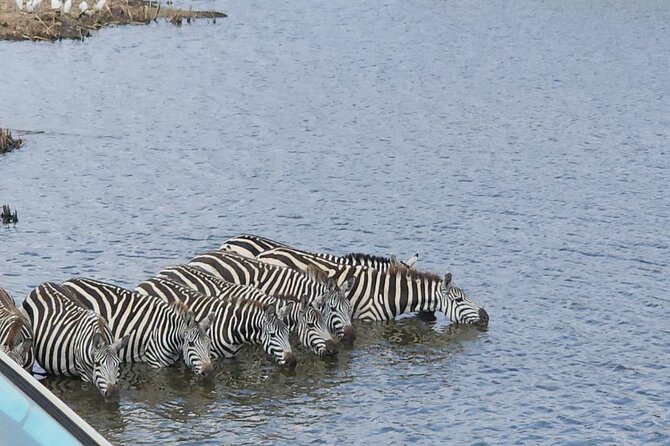 3 Days - 2 Nights Maasai Mara From Nairobi - Accommodations and Amenities