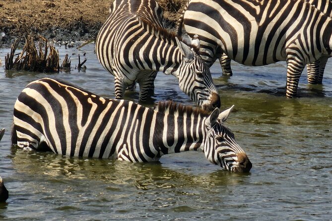 3 Days - 2 Nights Maasai Mara From Nairobi - Dining and Cuisine