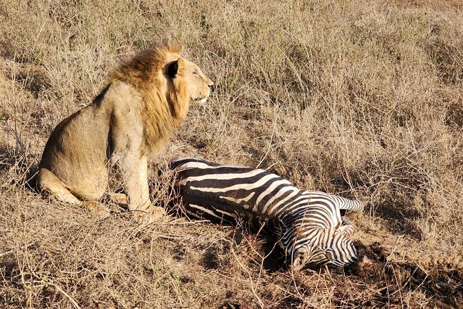 3 Days - 2 Nights Maasai Mara From Nairobi - Packing and Preparation